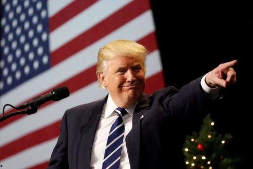 特朗普后院爆料视频播放,一场意想不到的幕后风波 第3张 特朗普后院爆料视频播放,一场意想不到的幕后风波 第3张